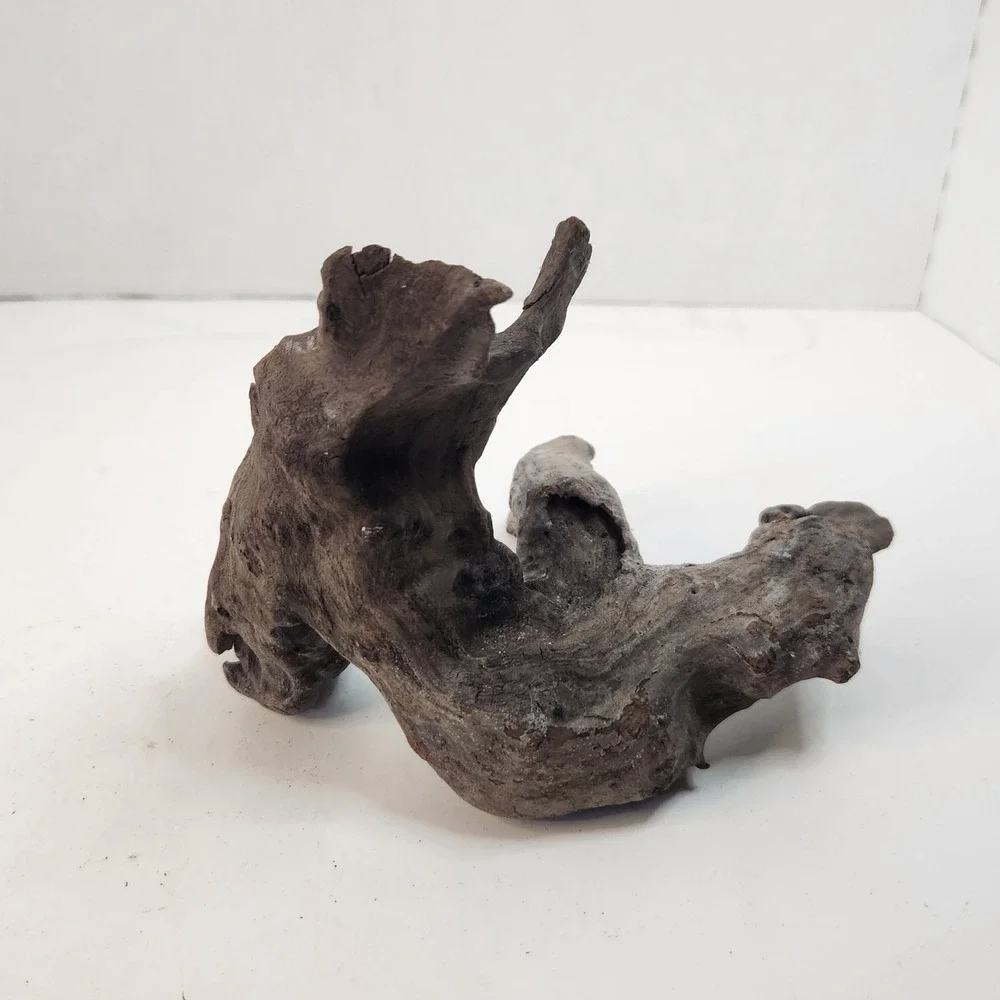 Natural driftwood for aquarium/terrarium/arts and crafts/Taxidermy Burl Habitat